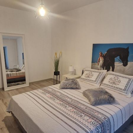 Apartament De Lux Крайова Экстерьер фото