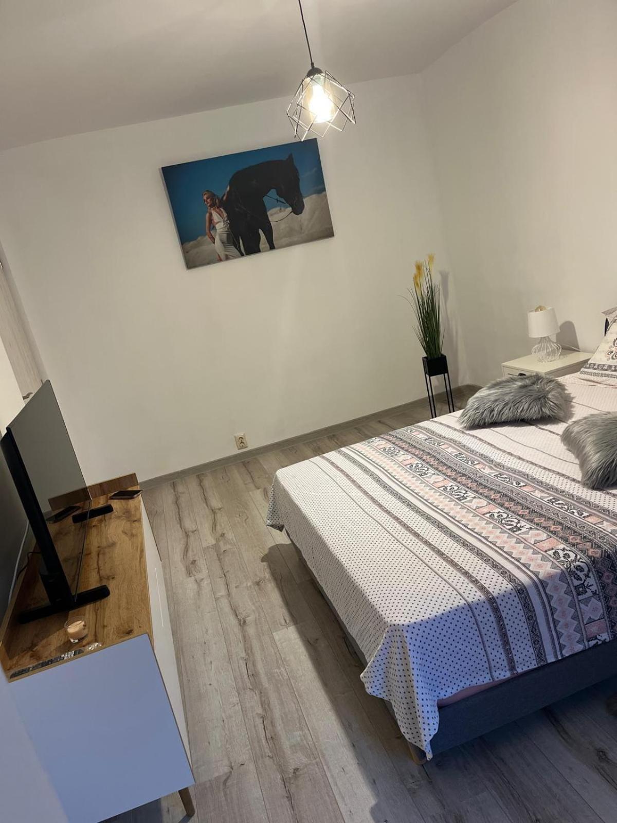 Apartament De Lux Крайова Экстерьер фото
